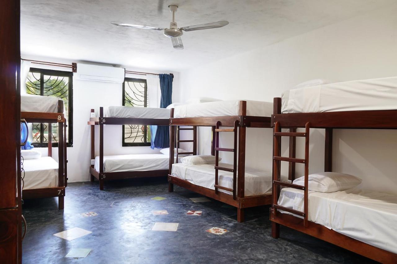 Red Panda Hostal Плая-дель-Кармен Экстерьер фото
