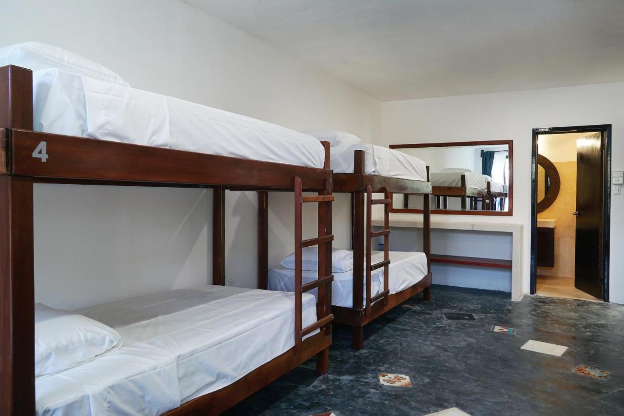 Red Panda Hostal Плая-дель-Кармен Экстерьер фото